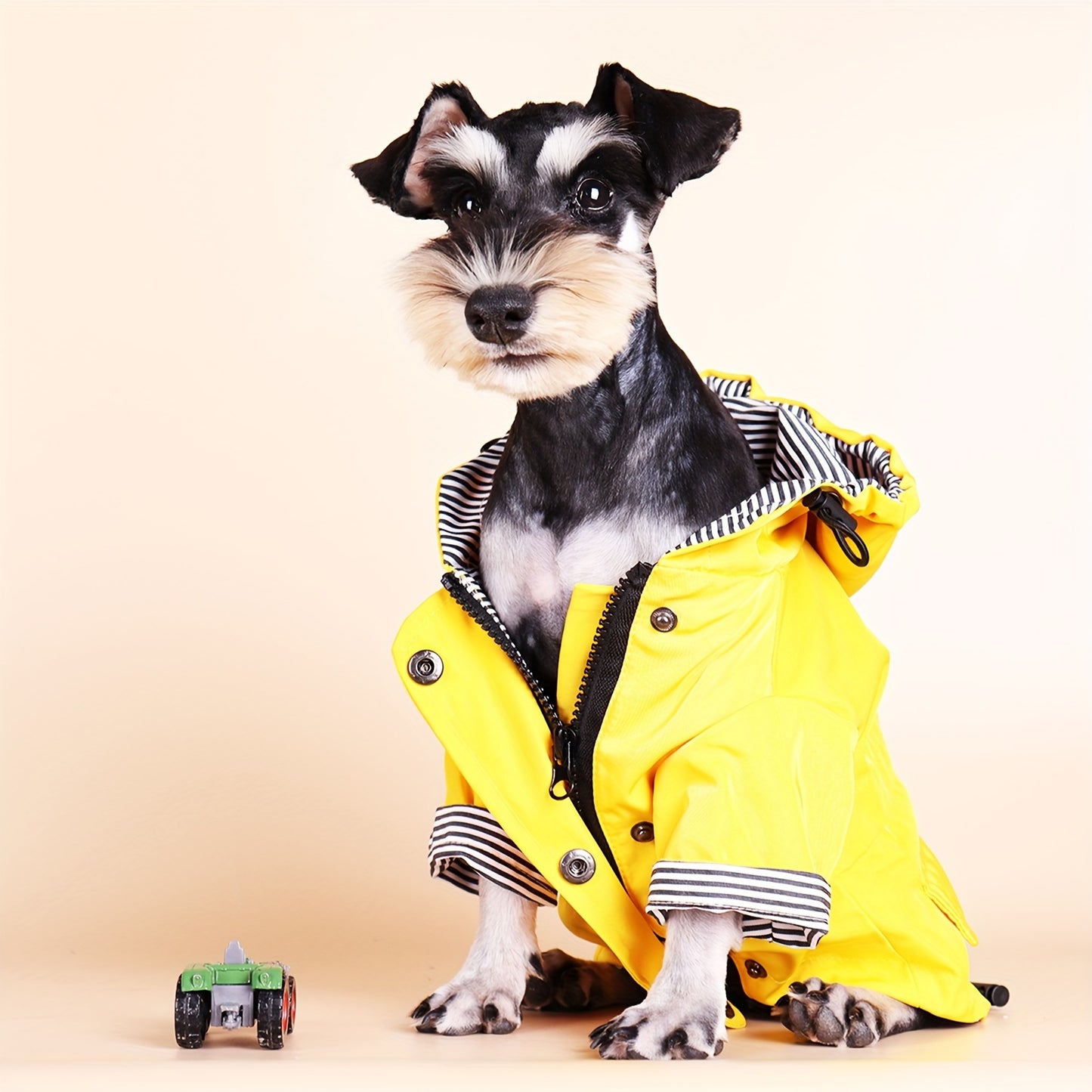 Keep Your Pet Puppy Warm & Dry With This Stylish Striped Rain Jacket!