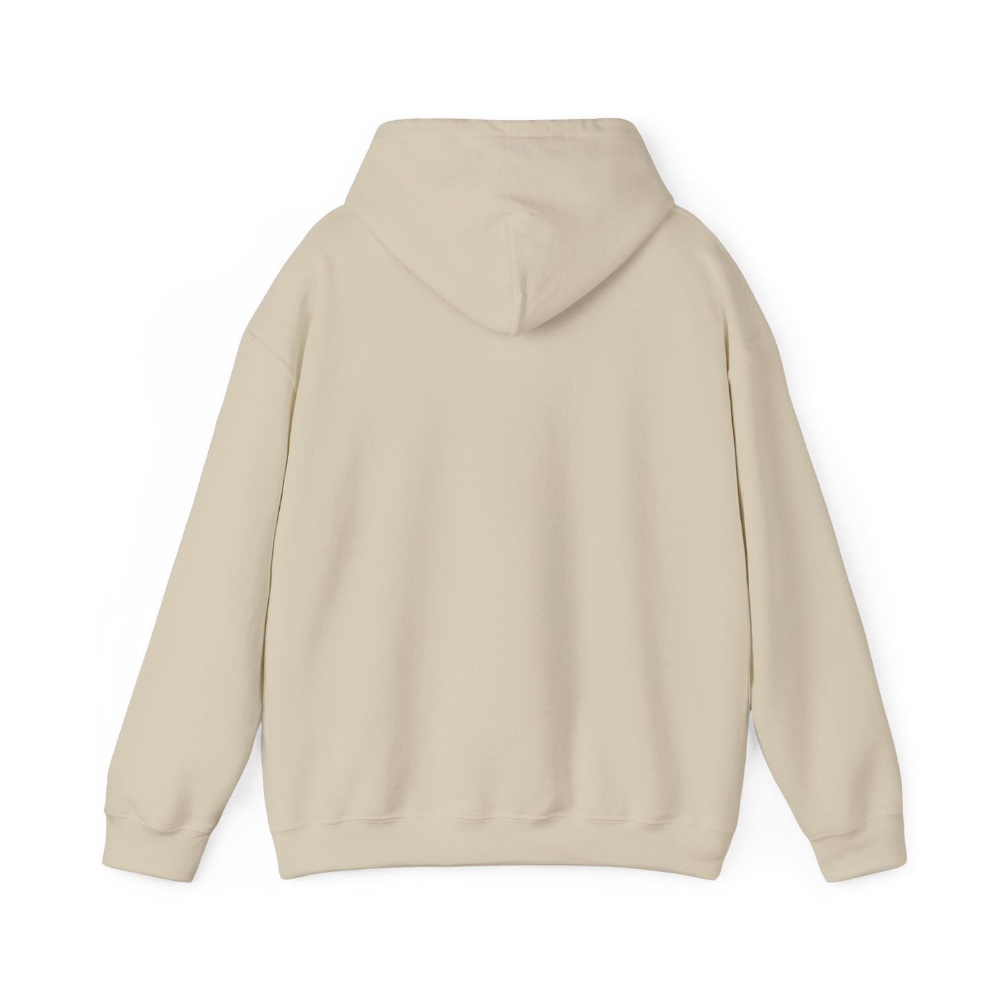 Stylish Okpik Nest Graphic Unisex Hoodie, Cozy Casual Wear, Gift,