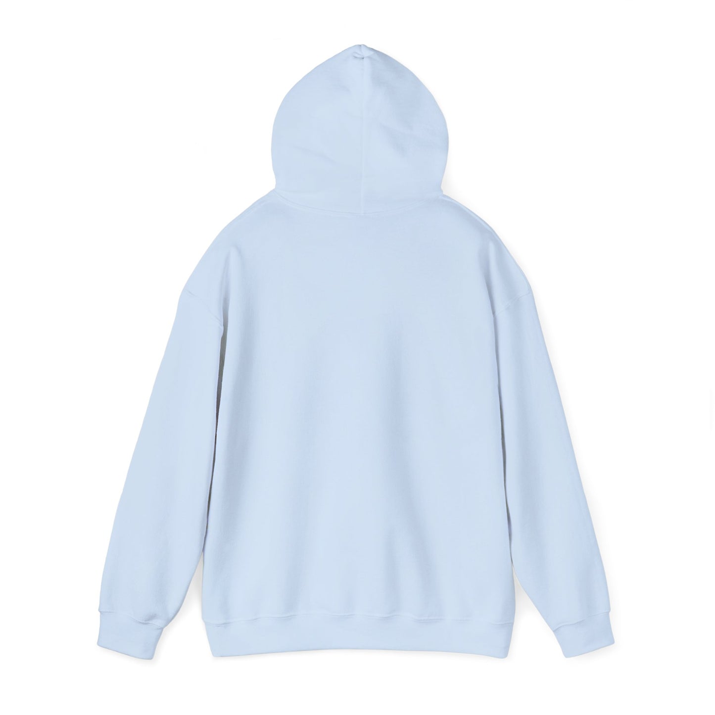 Stylish Okpik Nest Graphic Unisex Hoodie, Cozy Casual Wear, Gift,