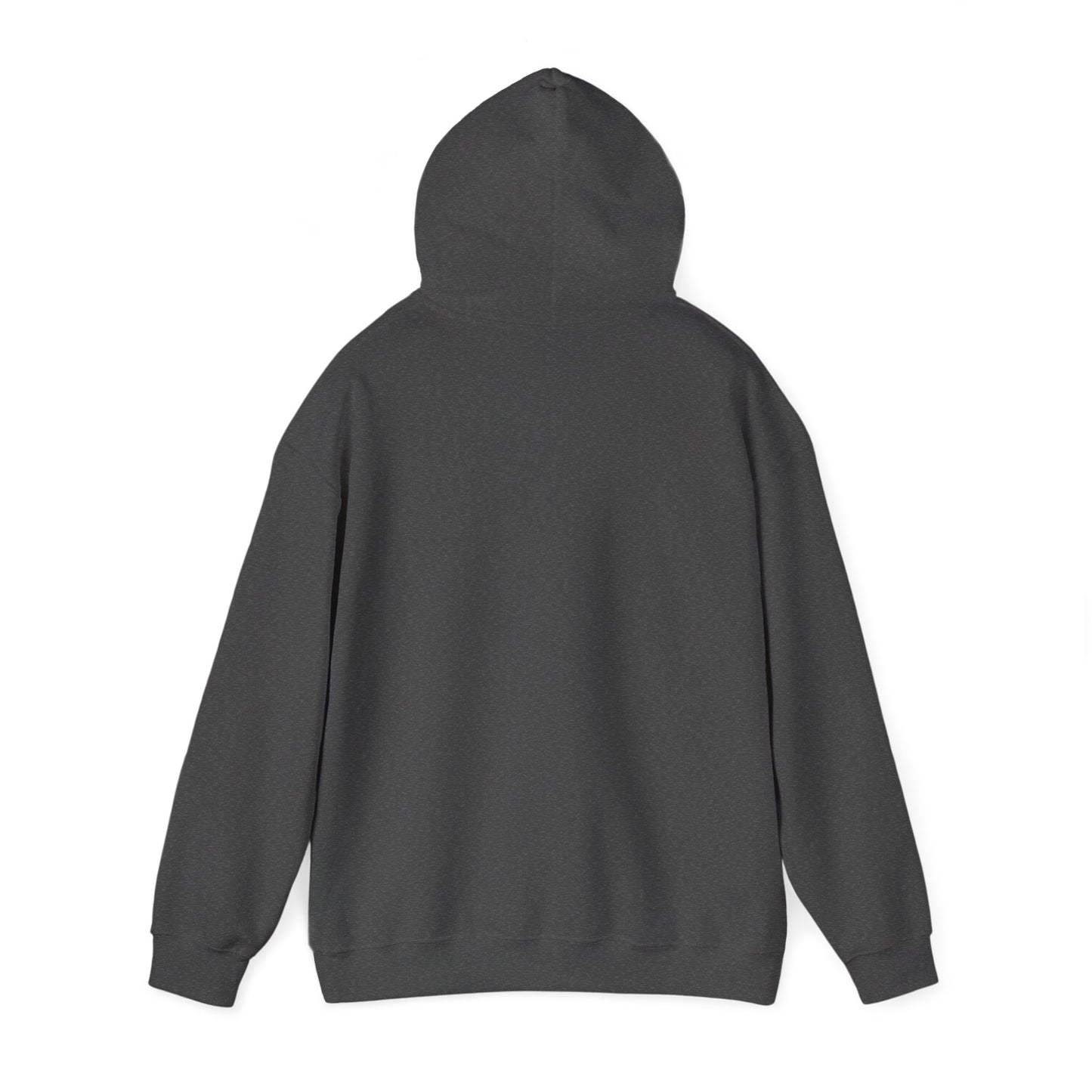 Stylish Okpik Nest Graphic Unisex Hoodie, Cozy Casual Wear, Gift,