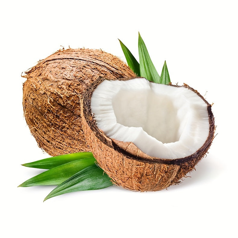 Coconut Lip Balm - Long Lasting Nourishment And Moisture For Men And Women - Daily Care Lip Balm With Plant Squalane