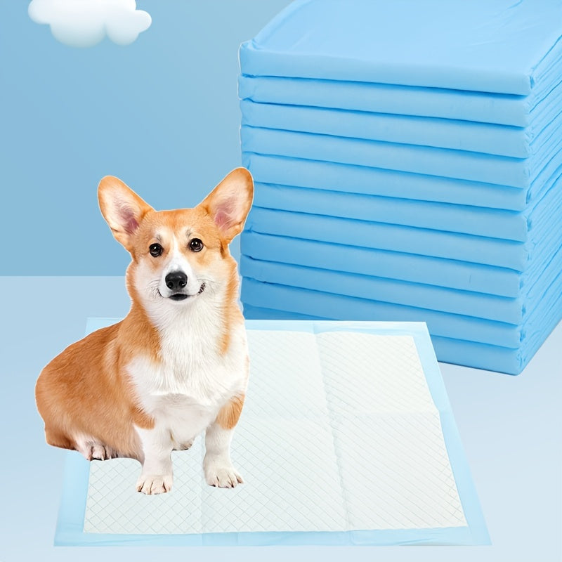 Absorbent And Deodorizing Disposable Pet Diapers For Dog Training And Pee Pads