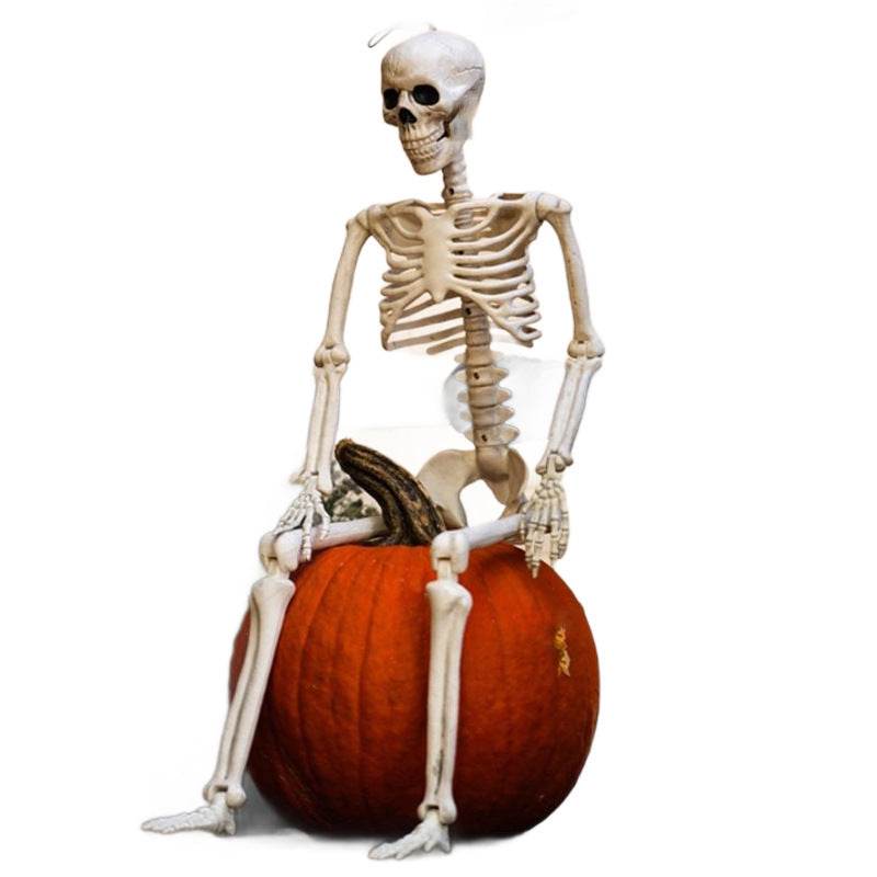 Halloween Movable Joint Skeleton Plastic Model 90cm Party Outdoor Decoration Props