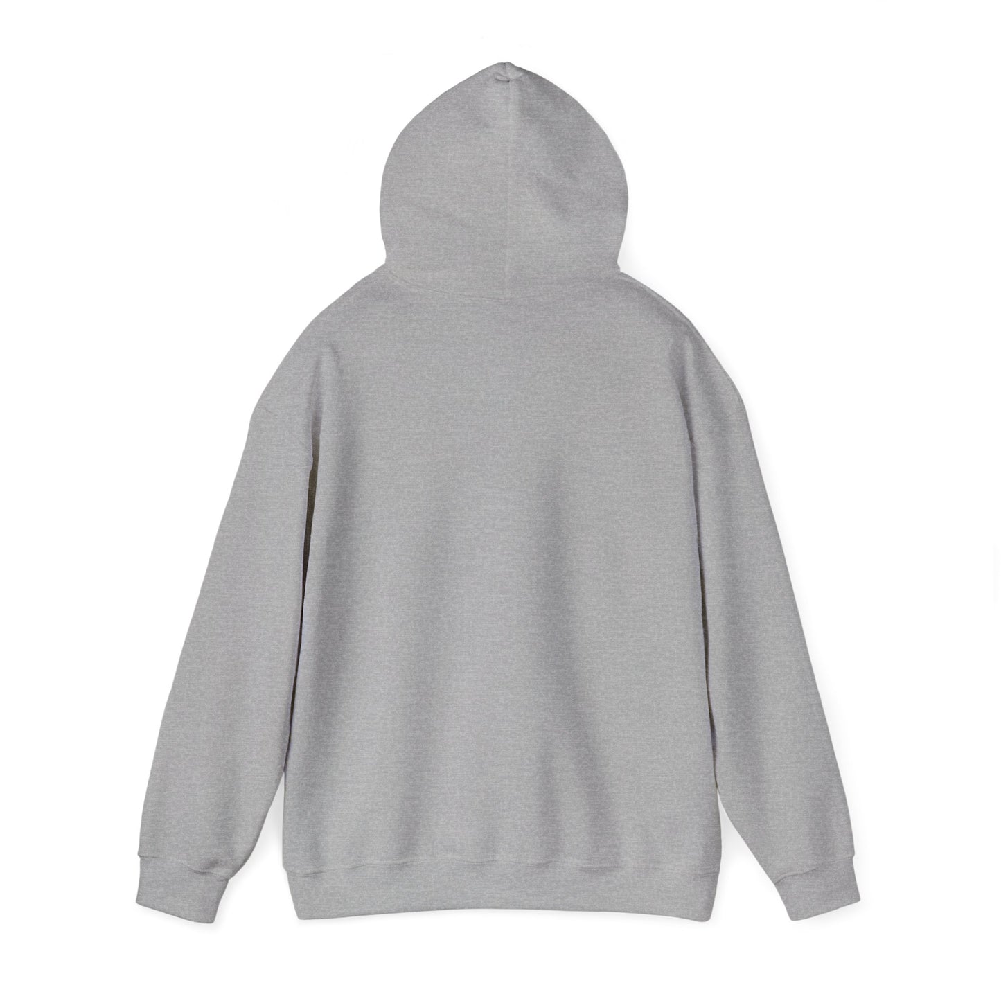 Stylish Okpik Nest Graphic Unisex Hoodie, Cozy Casual Wear, Gift,