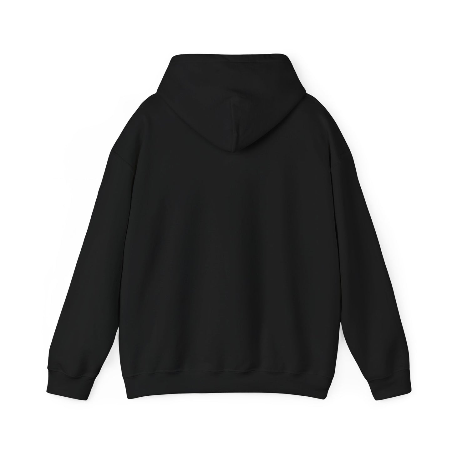 Stylish Okpik Nest Graphic Unisex Hoodie, Cozy Casual Wear, Gift,