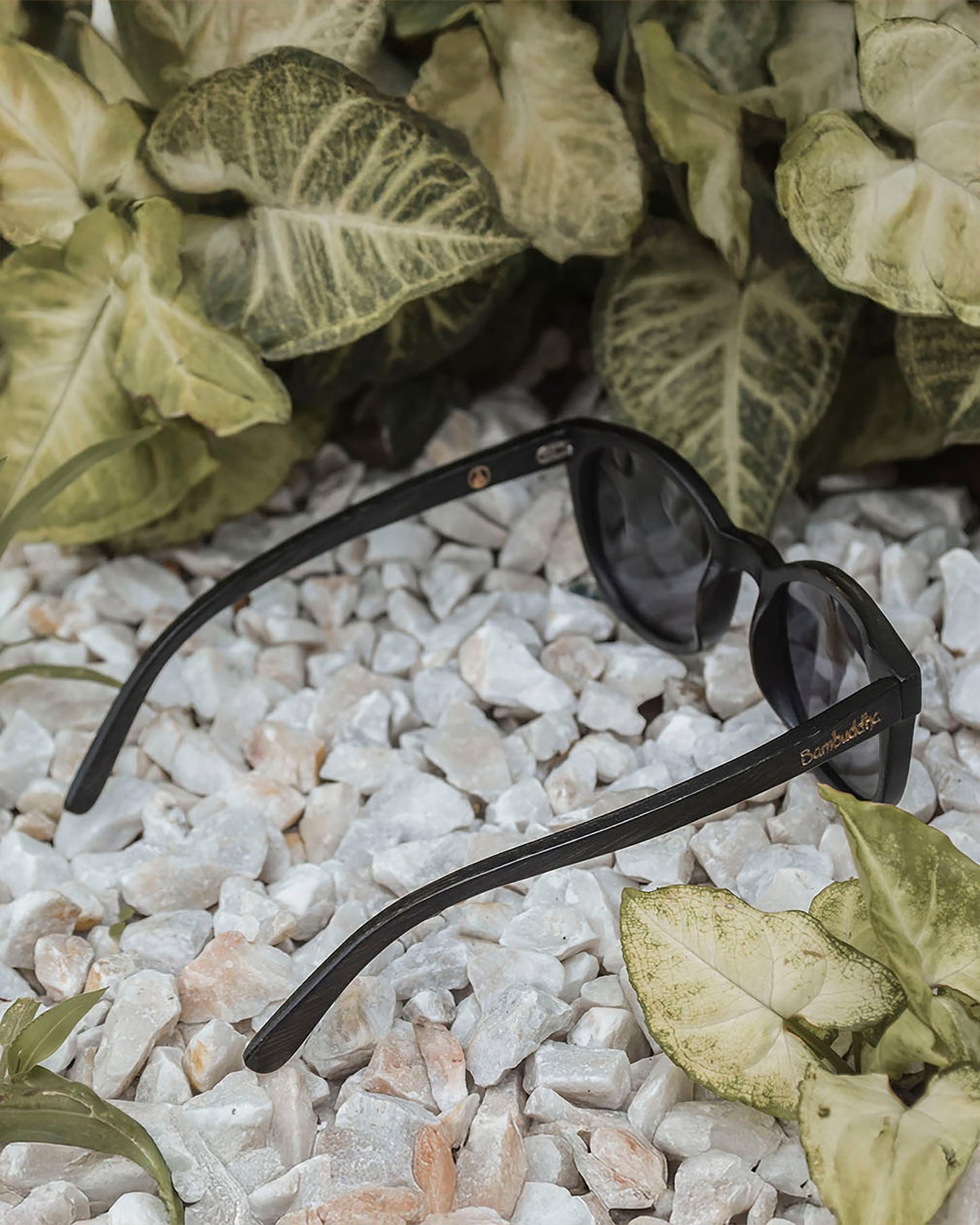 Panther | Polarized Bamboo Sunglasses-4