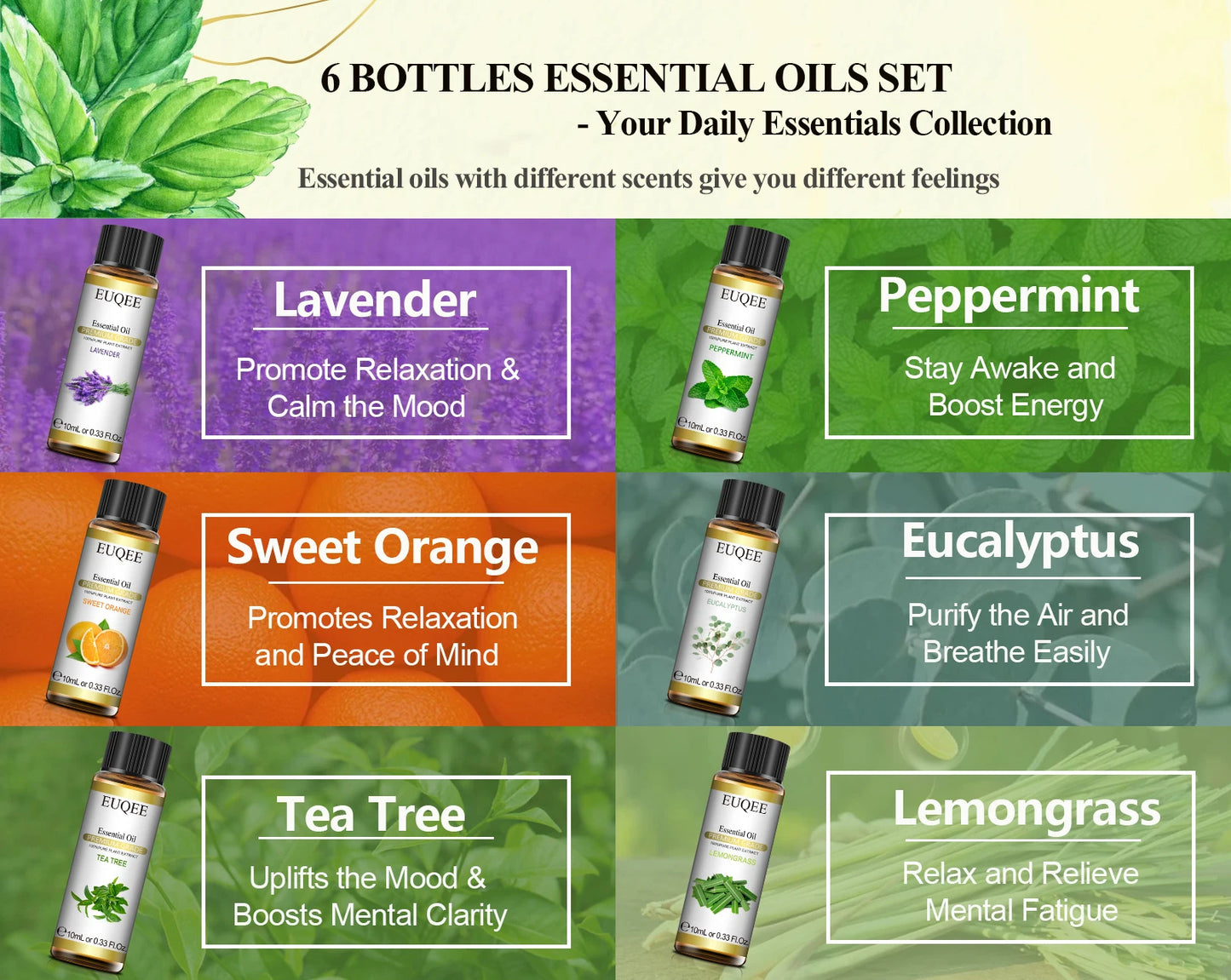 EUQEE 6 Bottles Essential Oils Set For Diffuser DIY Soap Candle Making-Peppermint Lavender Sweet Orange Lemongrass Eucalyptus