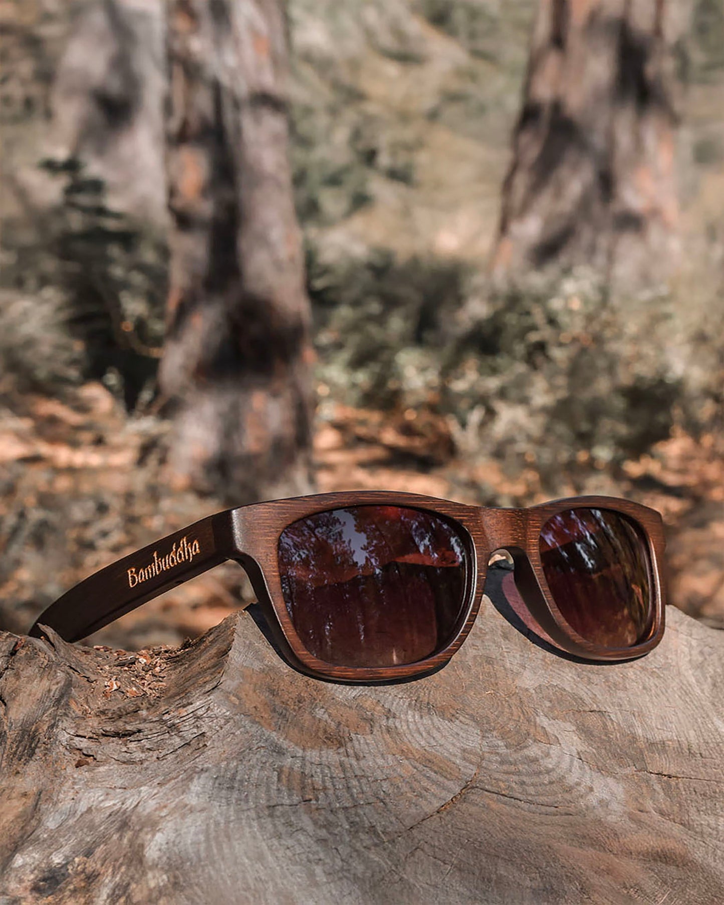 Woodsy | Polarized Bamboo Sunglasses-0