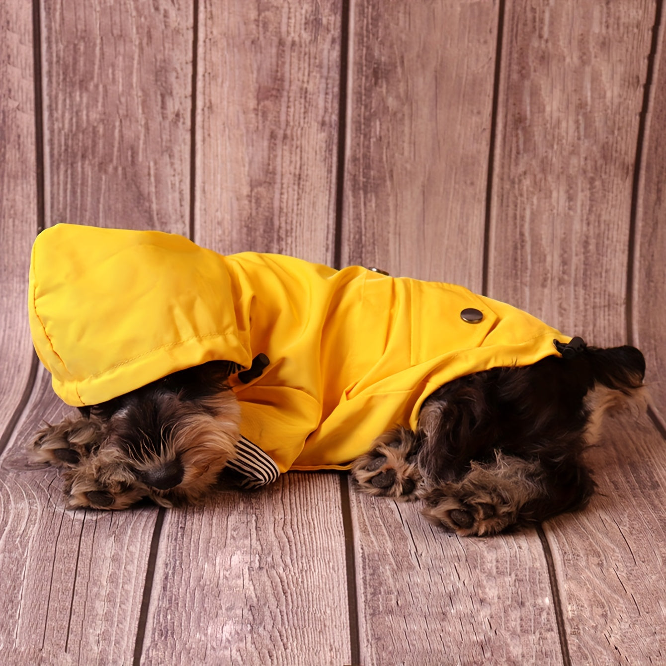 Keep Your Pet Puppy Warm & Dry With This Stylish Striped Rain Jacket!