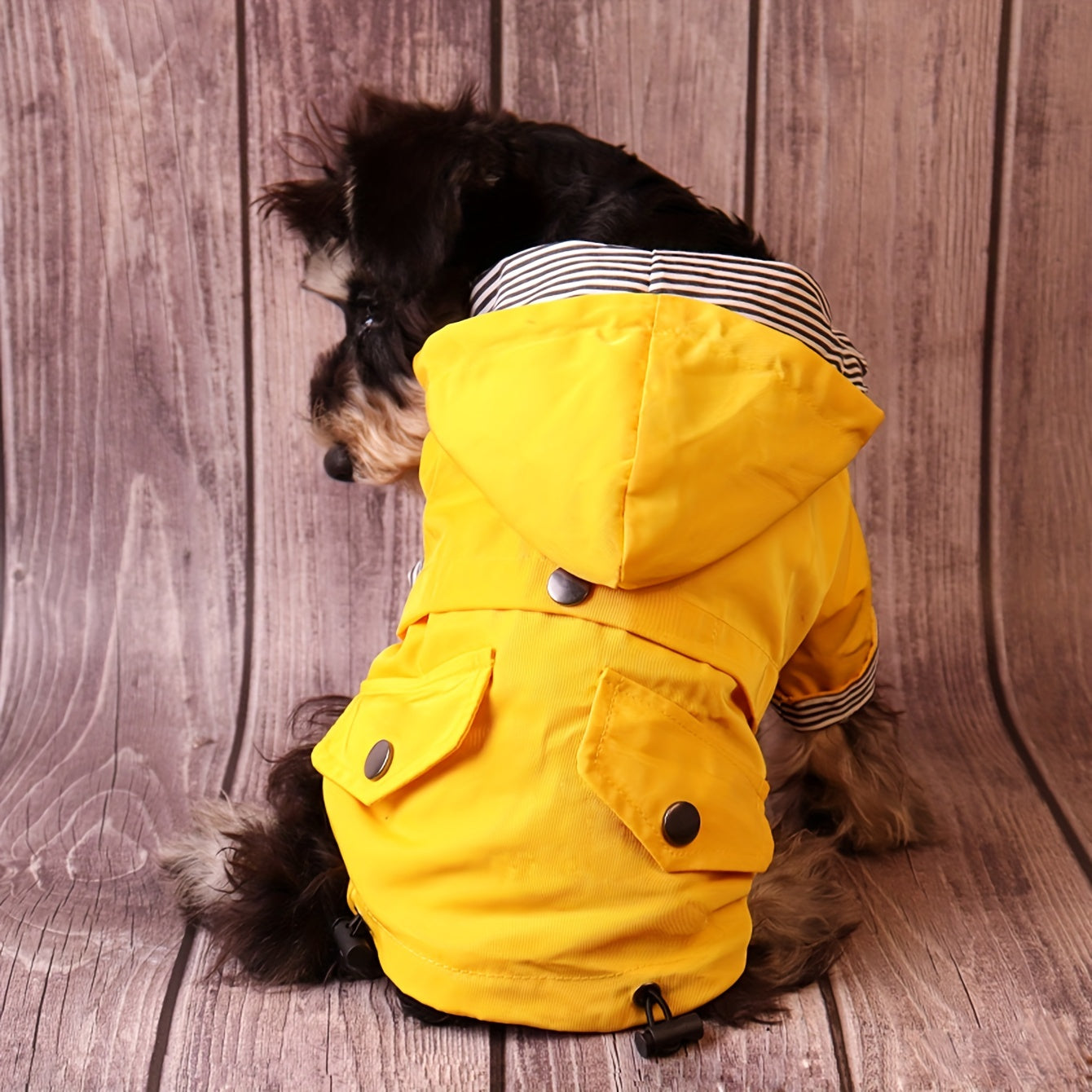 Keep Your Pet Puppy Warm & Dry With This Stylish Striped Rain Jacket!