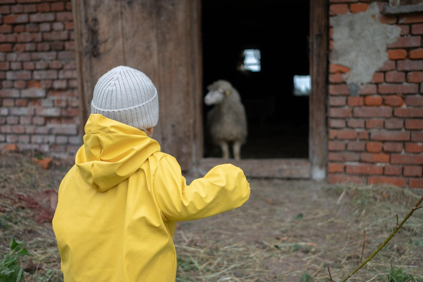 Waterproof Baby/Kid Clothing Set - Yellow-4