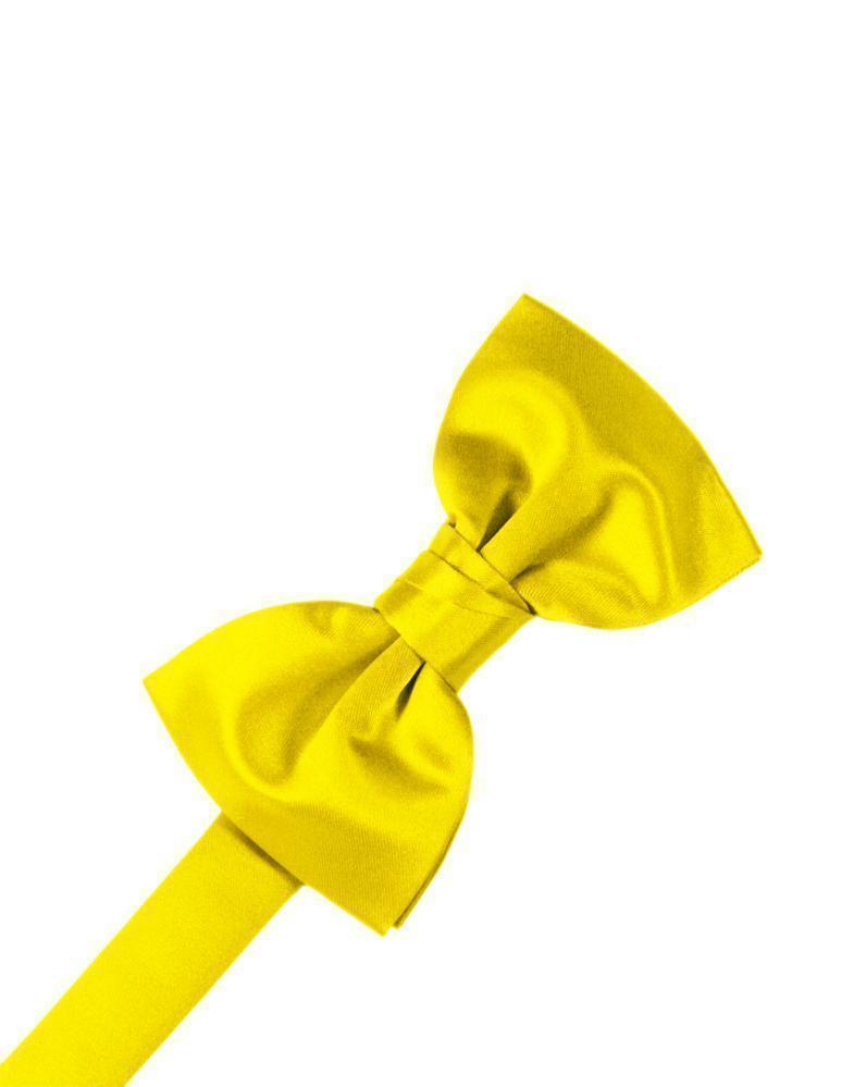 Luxury Satin Kids Bow Tie-61