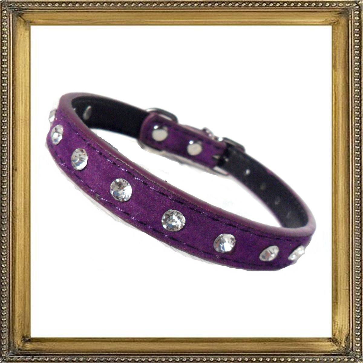Majestic Crystal Dog Collar-6
