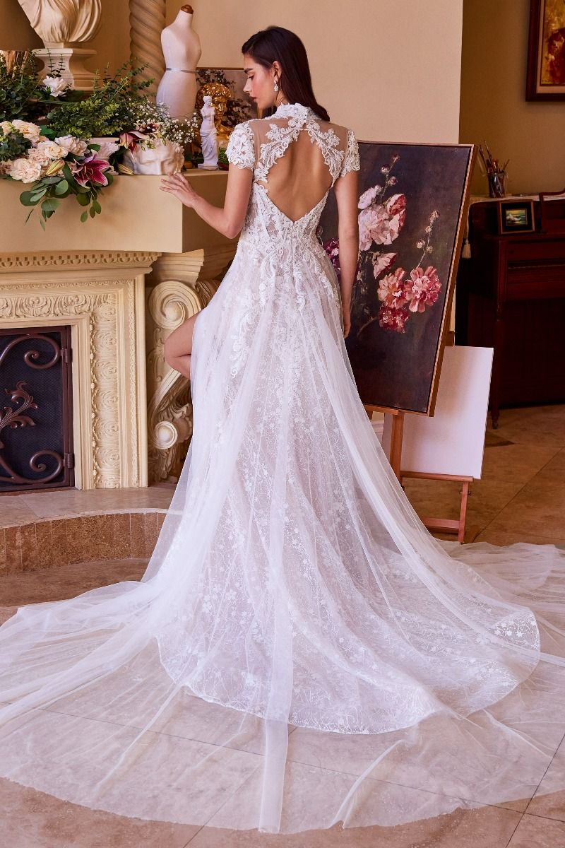 Lace & Tulle Short Sleeve Wedding Gown-3