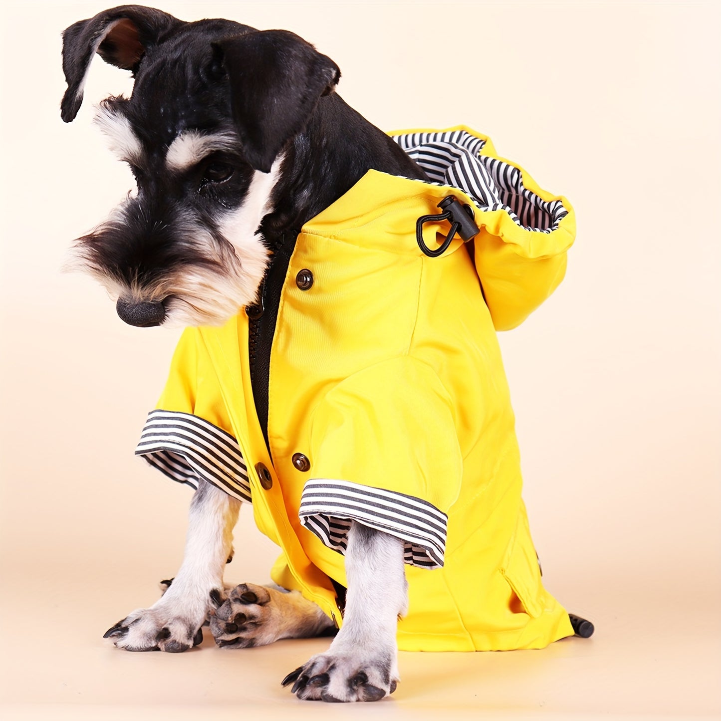 Keep Your Pet Puppy Warm & Dry With This Stylish Striped Rain Jacket!