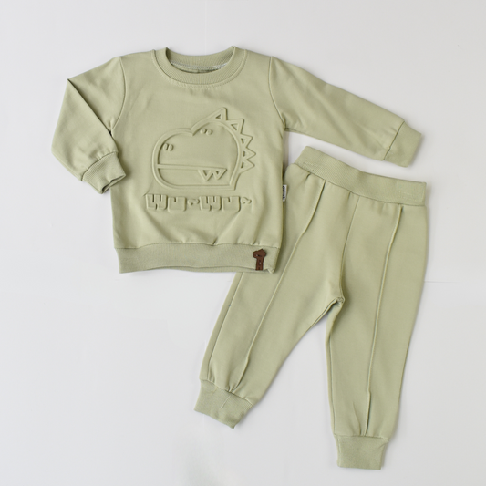 Dino Boys Cotton Joggers Set-0