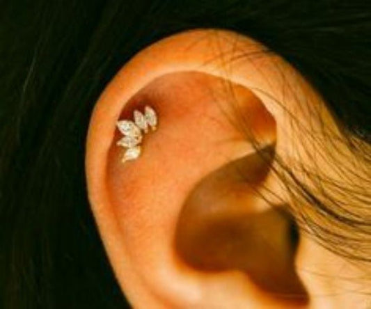 Royal Crystal Crown Cartilage Earring-0