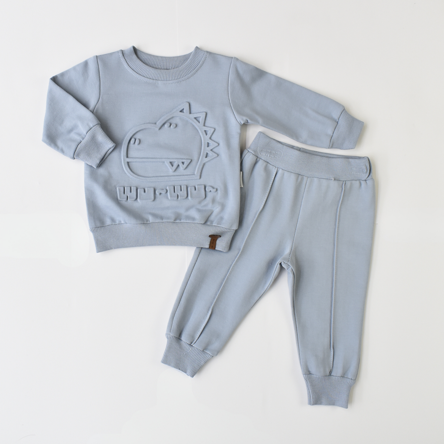 Dino Boys Cotton Joggers Set-1