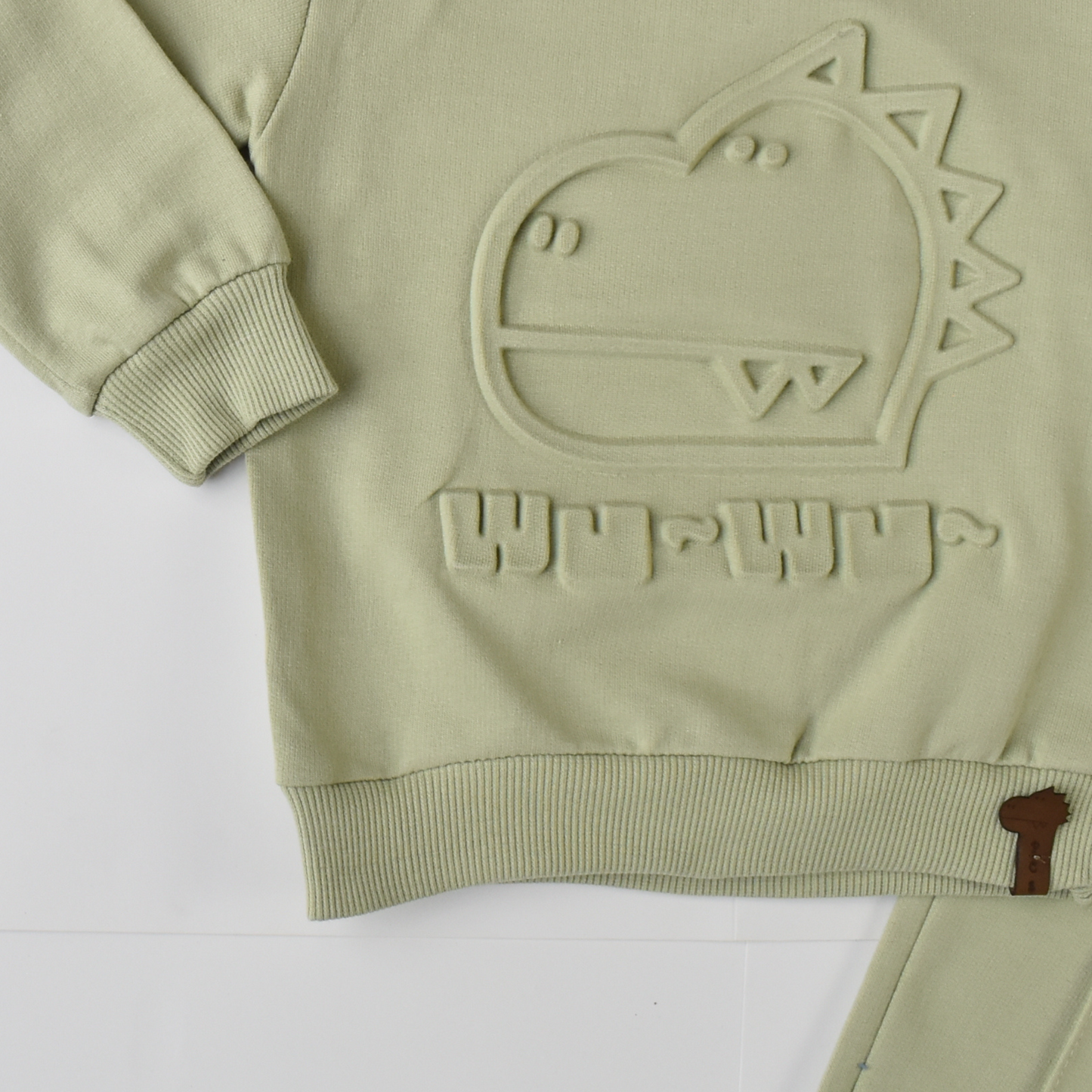 Dino Boys Cotton Joggers Set-2