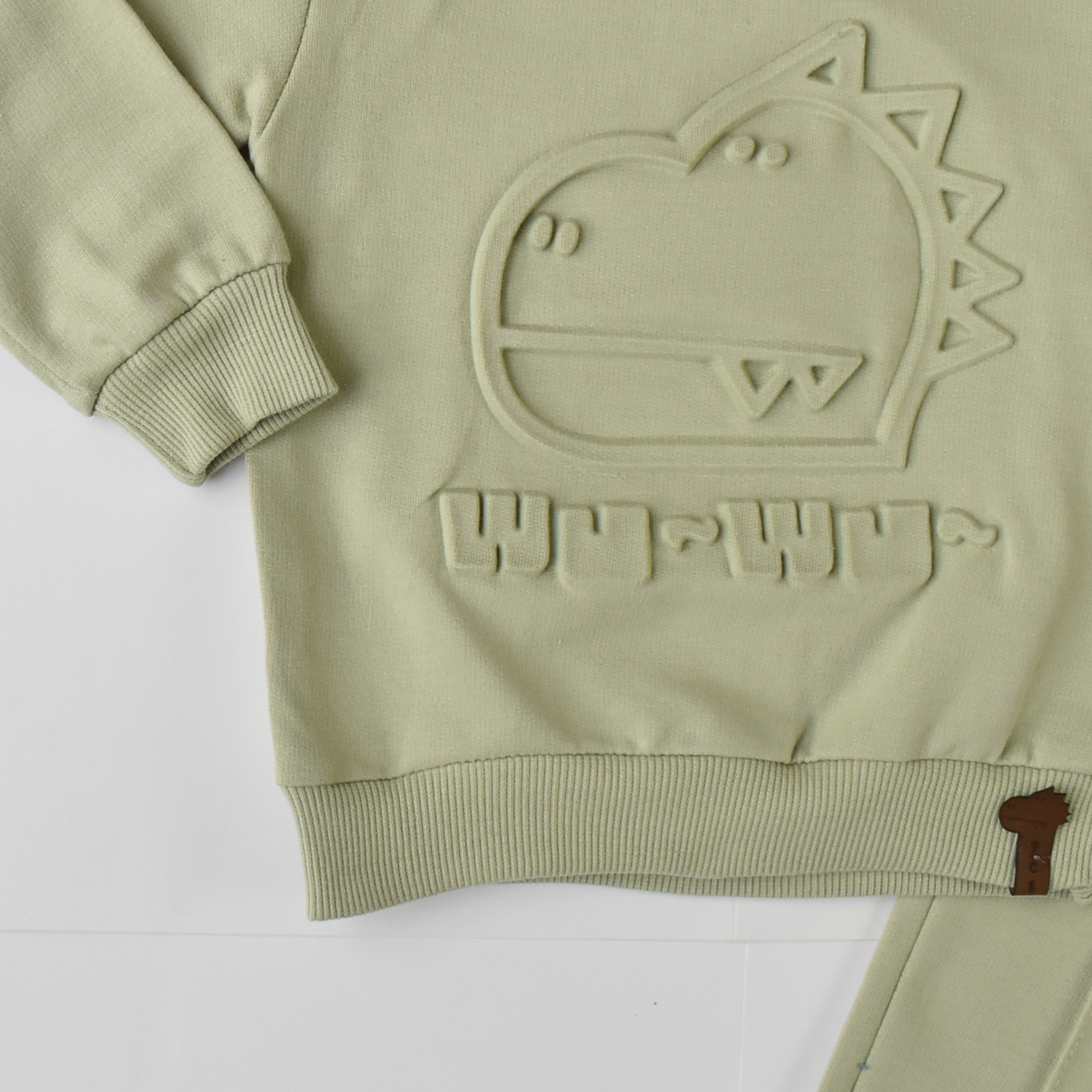 Dino Boys Cotton Joggers Set-2