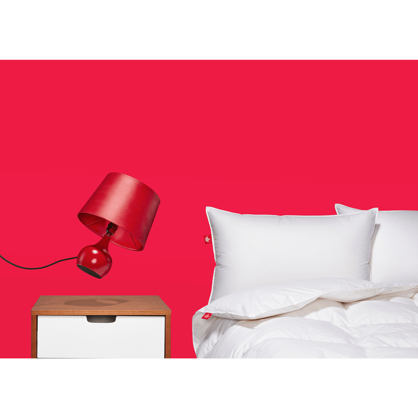 850 Loft Hutterite Goose Down Pillow