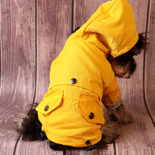 Keep Your Pet Puppy Warm & Dry With This Stylish Striped Rain Jacket!