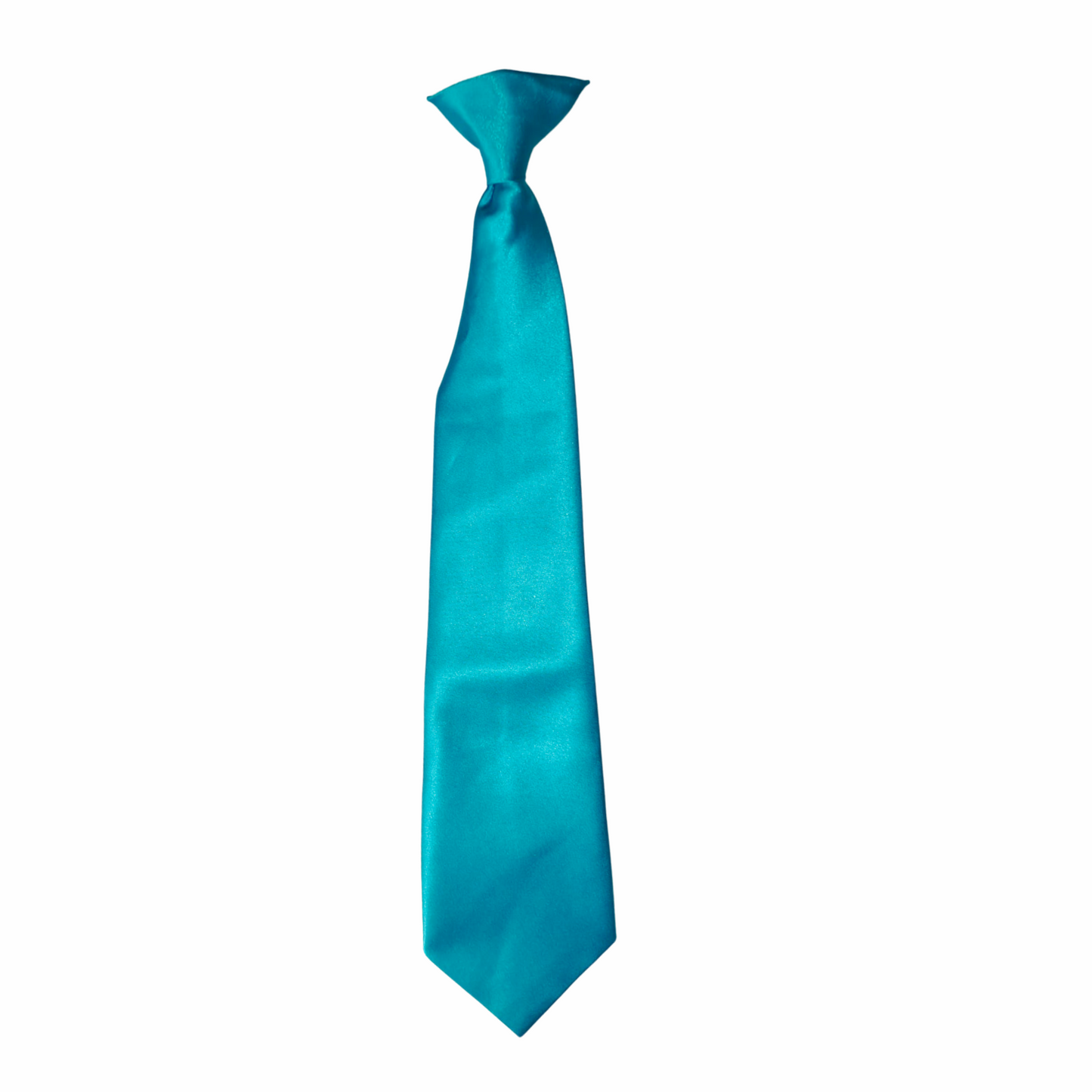Regular Tie-2