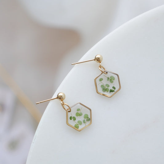 Boucles d’oreilles Chloé - Hexa (mini)