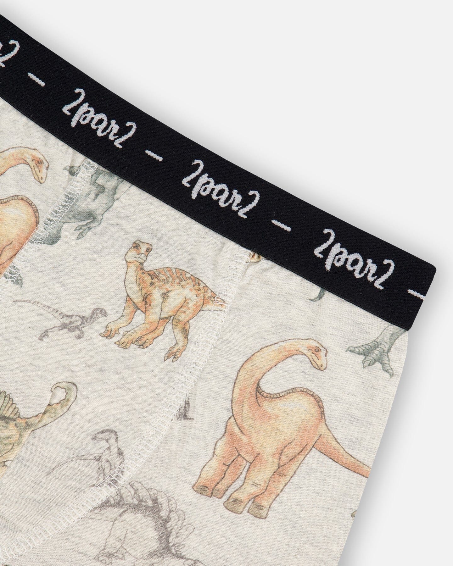Printed Organic Cotton Boxer Shorts Dinosaur On Mottled And Tan Background-2