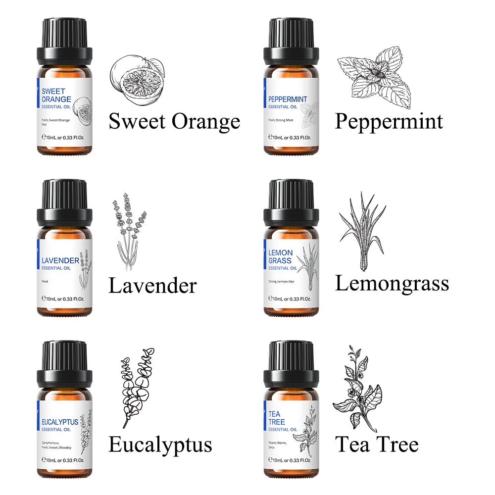HIQILI Essential Oils Set, Pure Nature Plant Oil for Diffuser Humidifier Hair Skin Care Massage Candle Making-6PCS*10mL