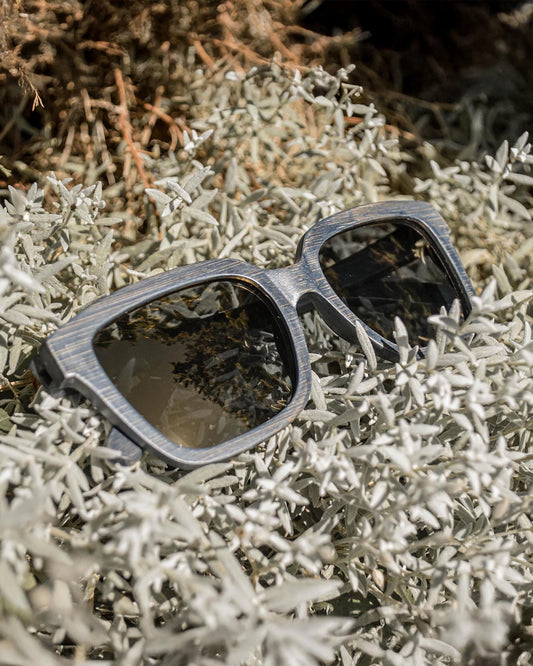 Jay Bird | Polarized Bamboo Sunglasses-0