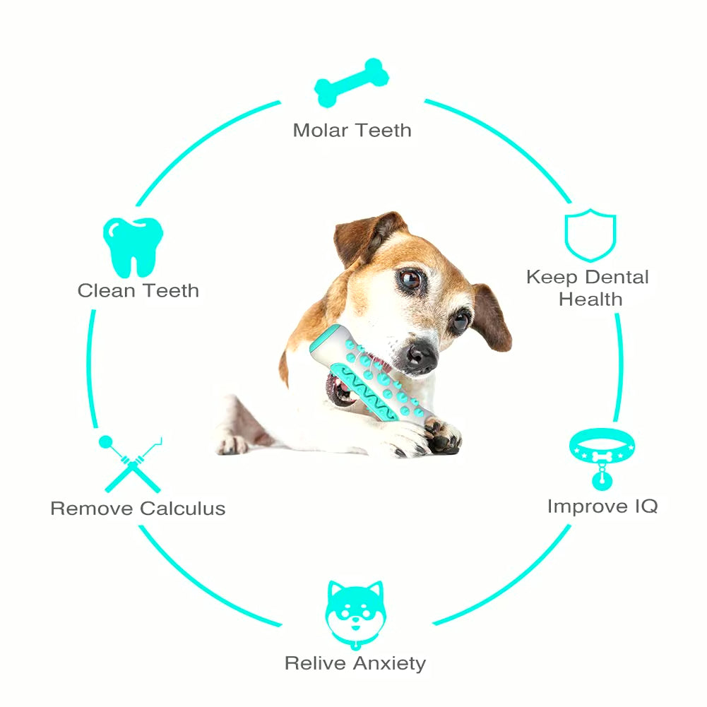 Chew Toys for Dogs – Unbreakable Molar Treat Dispenser