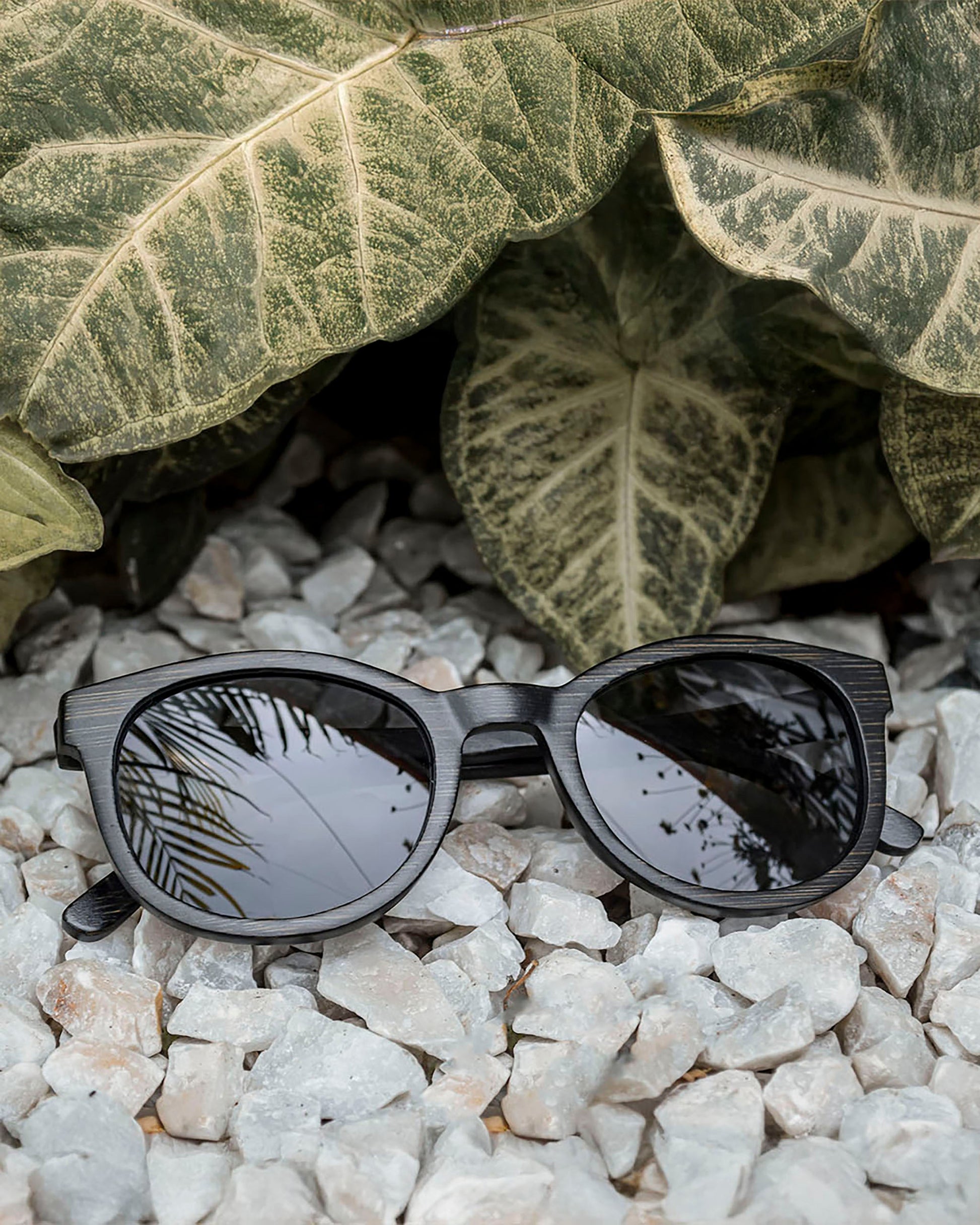 Panther | Polarized Bamboo Sunglasses-2