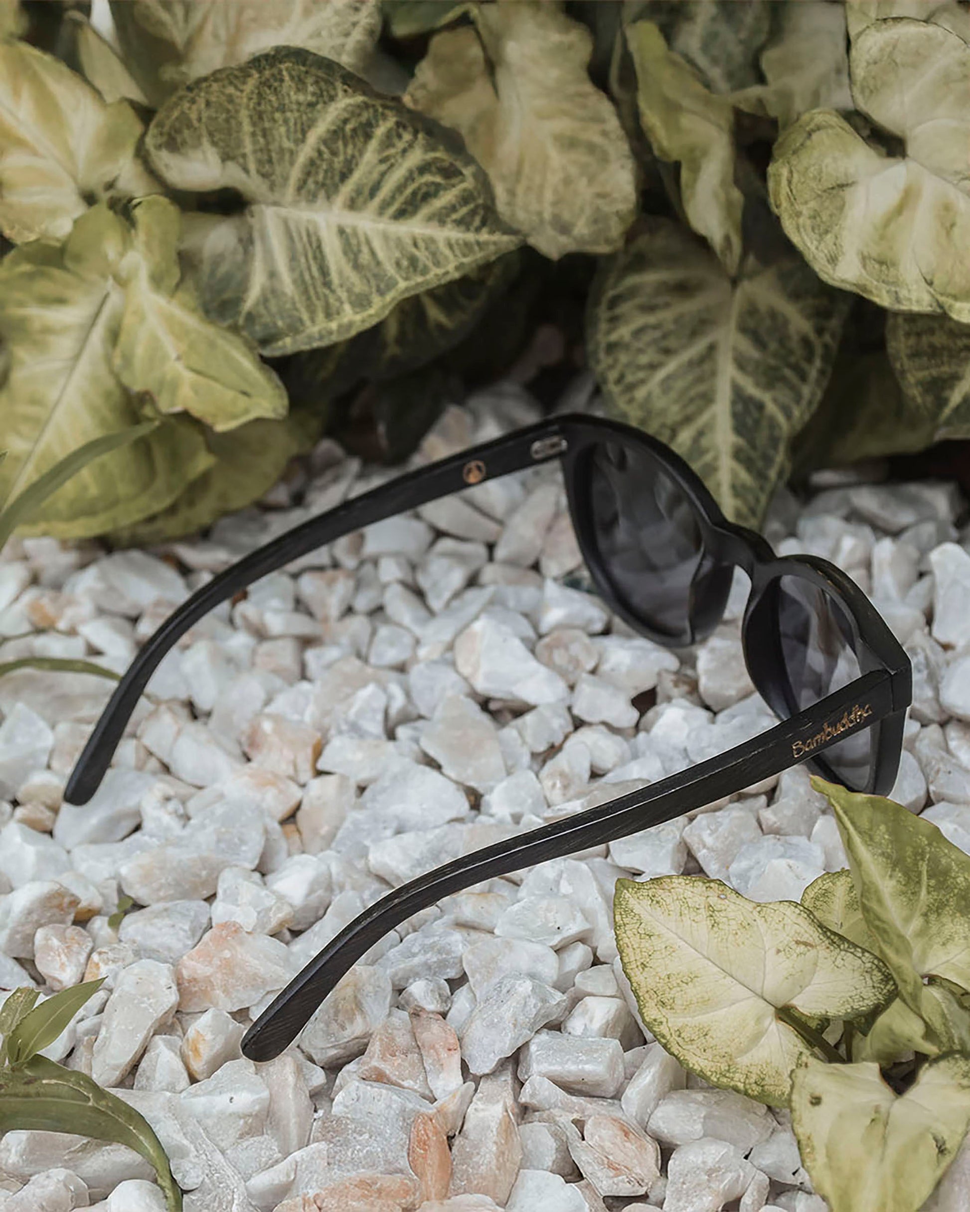 Panther | Polarized Bamboo Sunglasses-4