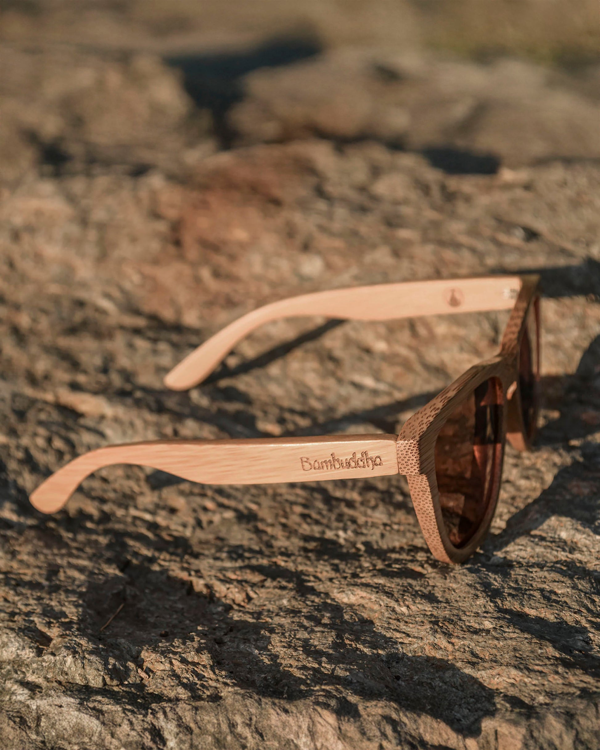 Reverse Ra | Polarized Bamboo Sunglasses-3