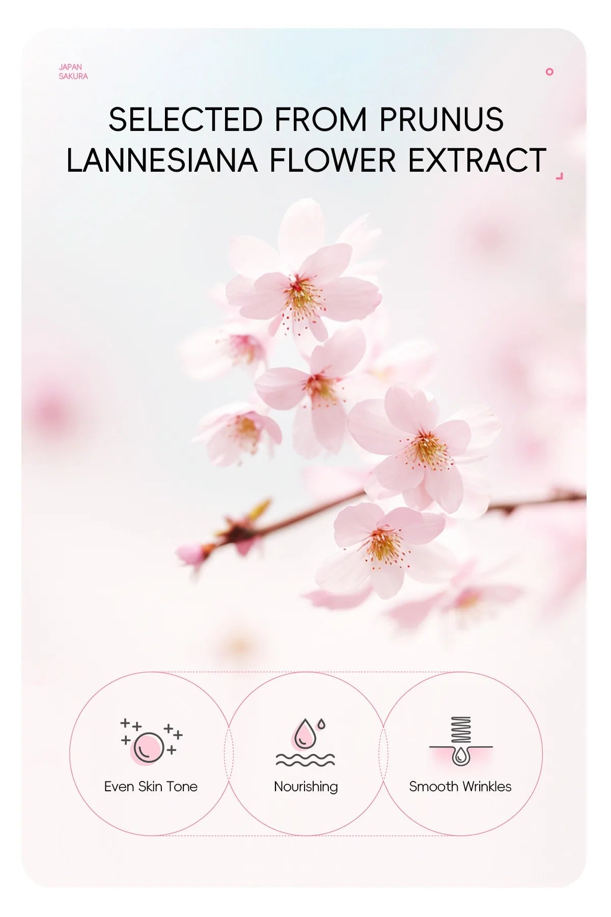1/2count Japan Sakura Peel-Off Mask 50g Deep Cleansing Cosmetic Residues, Balance Skin Tone, Hydrate & Delicate Skin