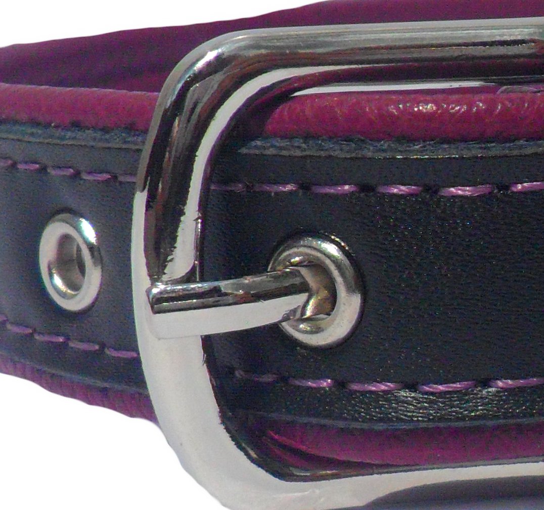 Berry Dog Collar-3