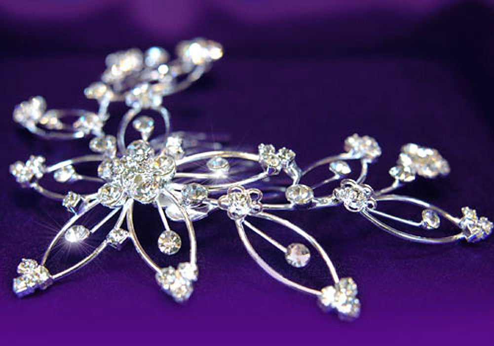 Bridal Wedding Flower Austrian Crystal Hair Comb XT1062-1
