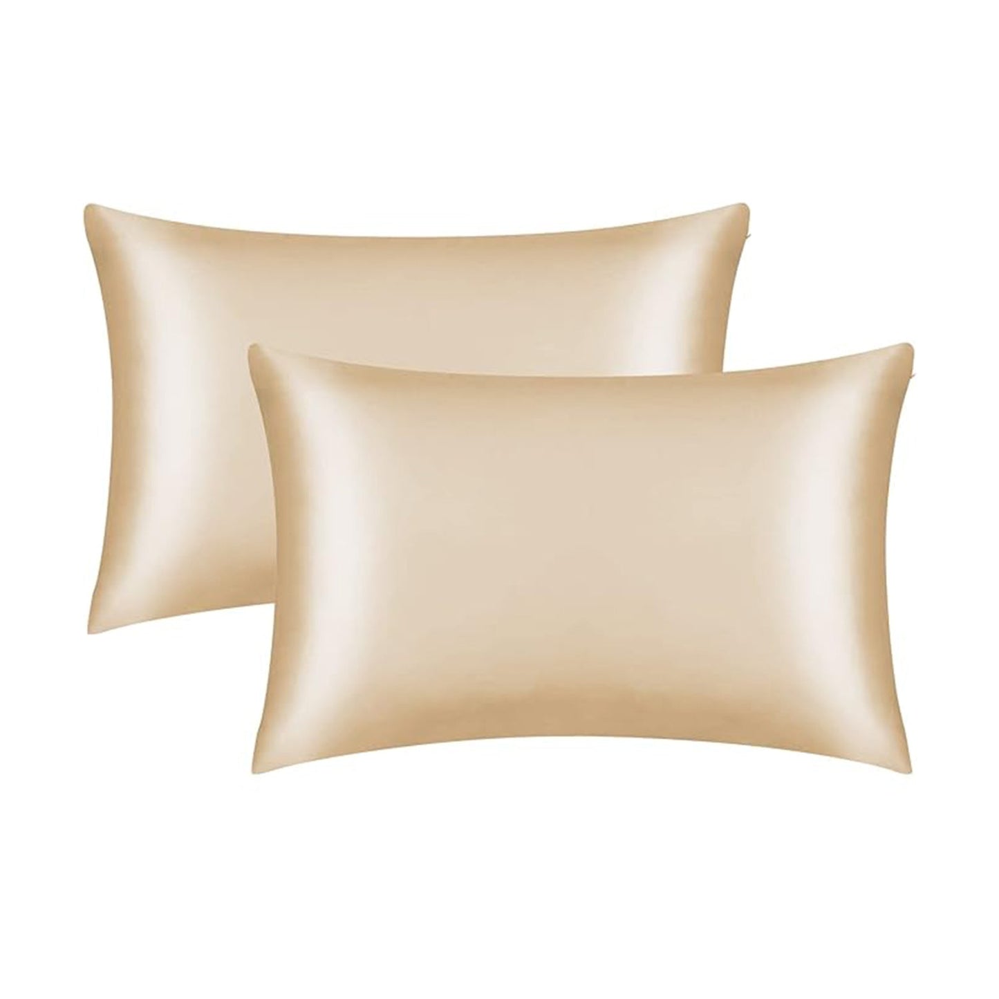 Set of 2 Pure Mulberry Silk Pillowcases-12
