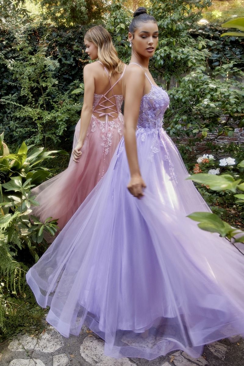 Fluttering Butterfly Applique A-Line Gown-4