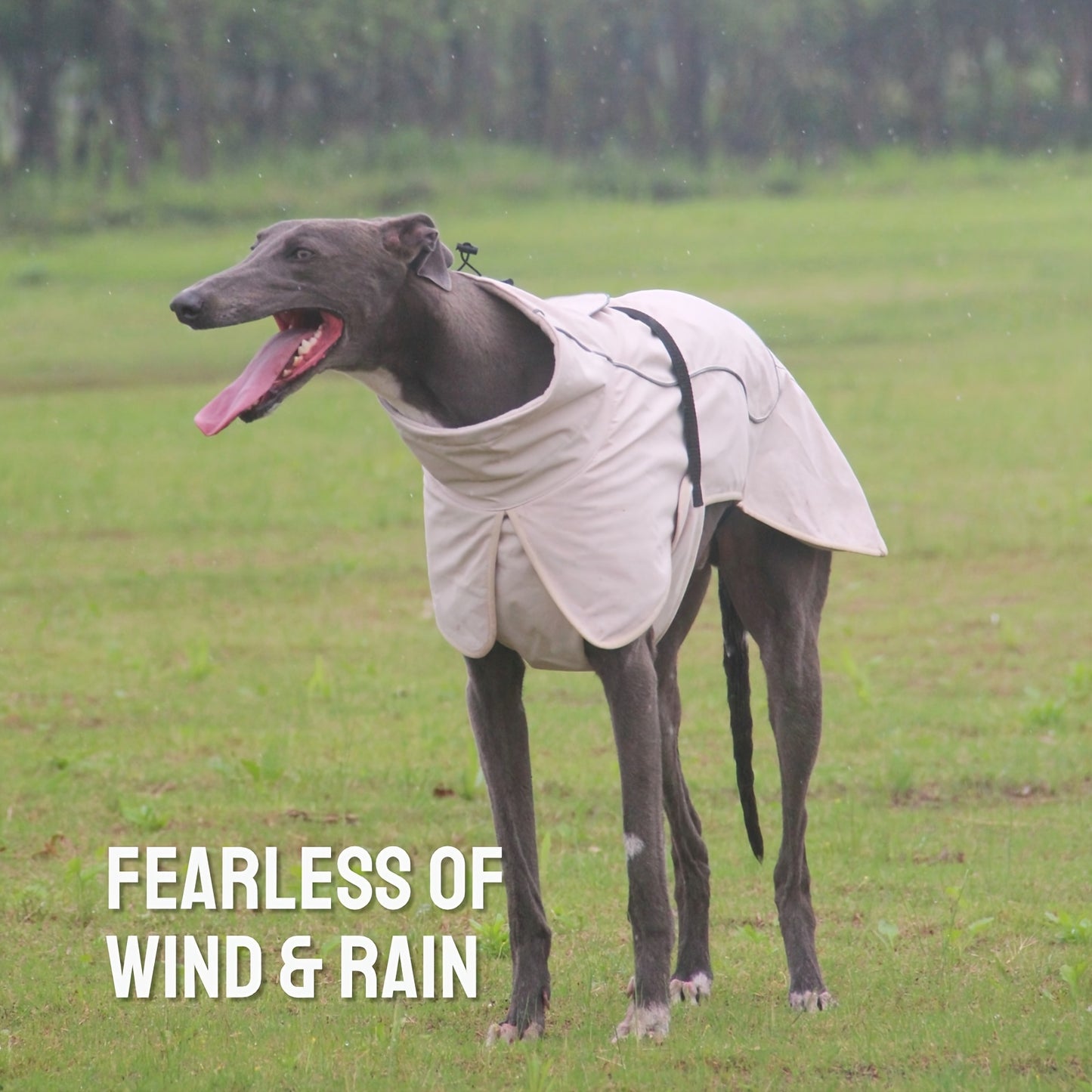 Waterproof Double-Layer Winter Dog Coats - Insulated, Windproof, and Reflective Dog Jackets for Large Dogs - Ideal for Rainy and Snowy Days, Easy to Put On and Take Off