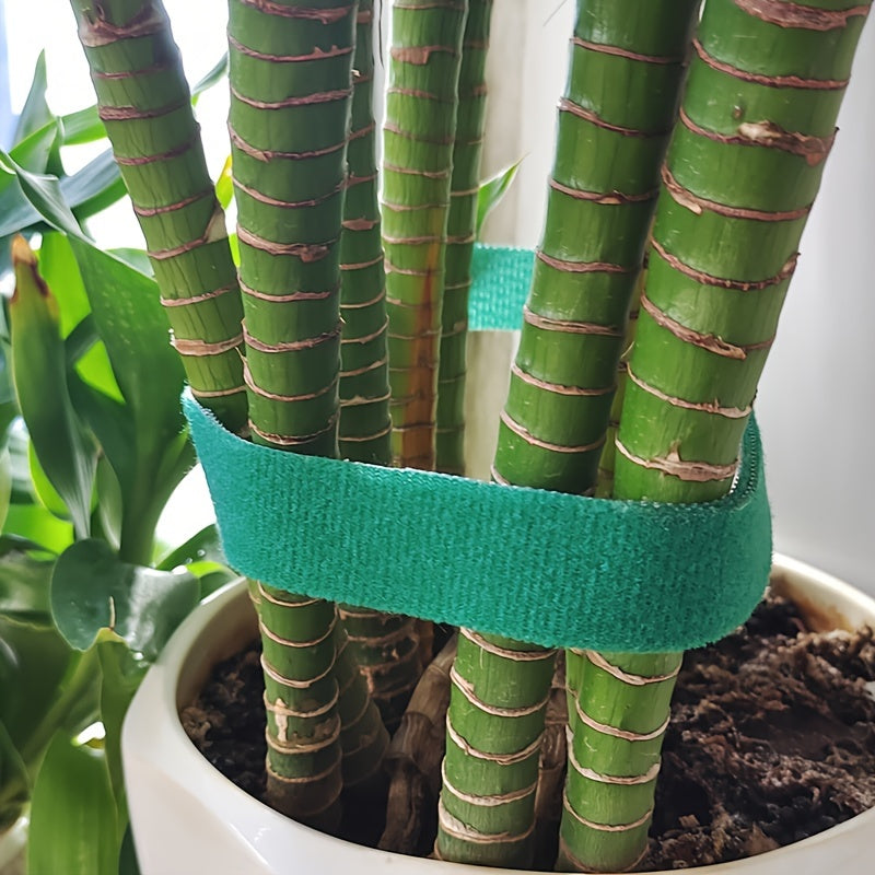 1 Roll, Garden Strap Plant Strap Plant Fixed Branch Strap Forest Branch Strap Winding Line, Gardne Tool Supplies, Garden Plant Supplies