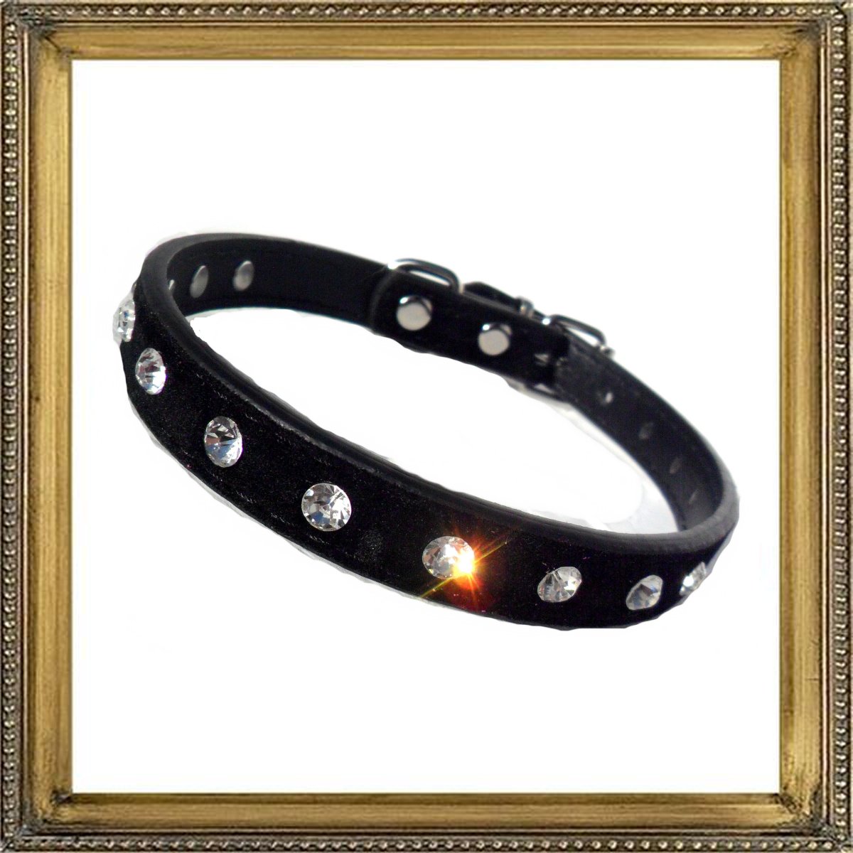 Majestic Crystal Dog Collar-5