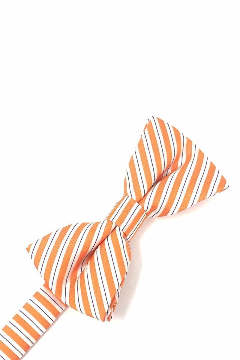 Newton Stripe Bow Tie-4