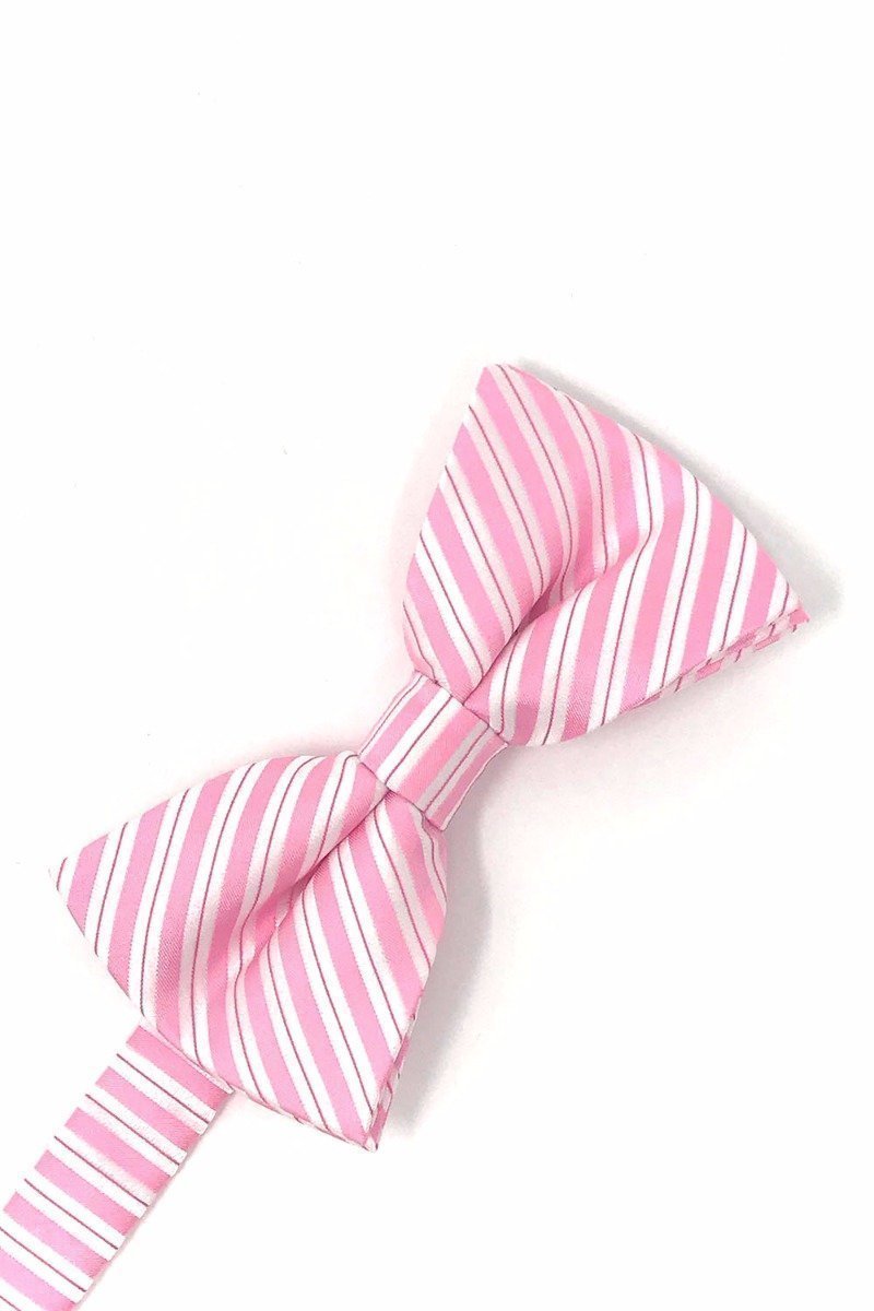 Newton Stripe Bow Tie-5