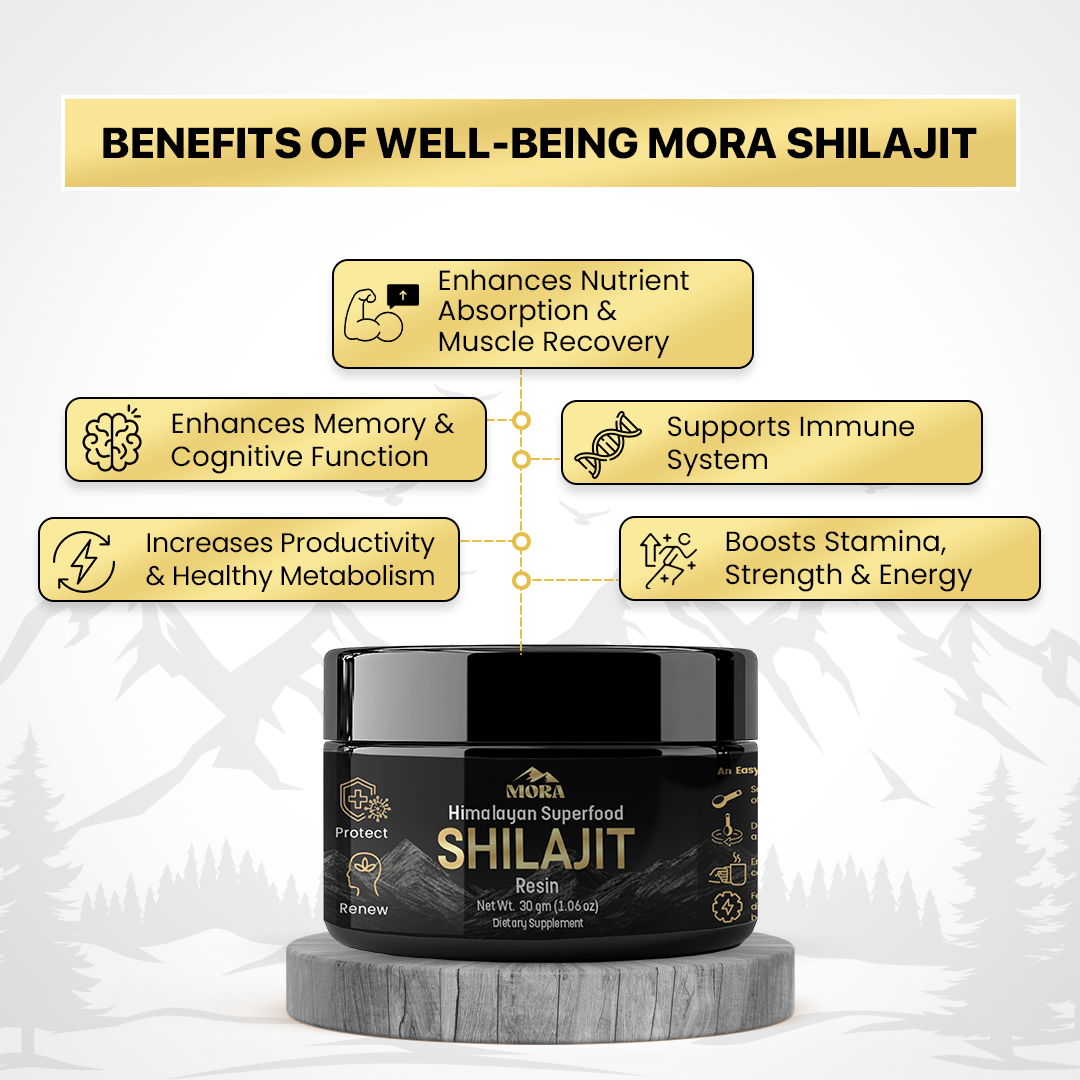 Shilajit resin-2