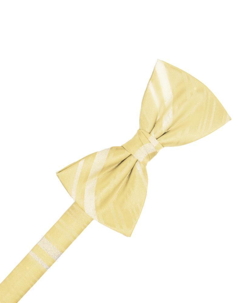 Striped Satin Bow Tie Pre-Tie-5