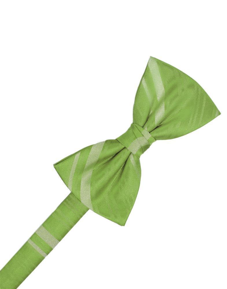Striped Satin Bow Tie Pre-Tie-12