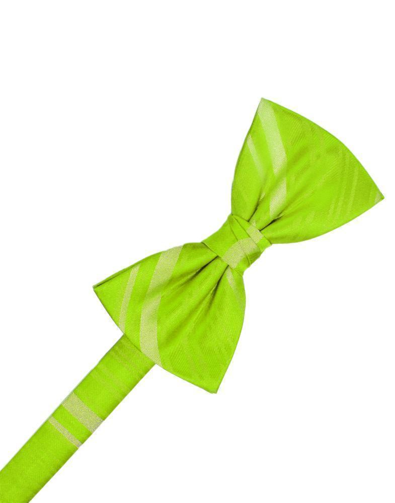 Striped Satin Bow Tie Pre-Tie-32