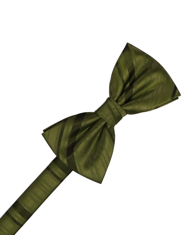 Striped Satin Bow Tie Pre-Tie-37